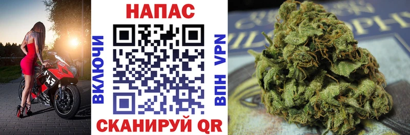 мега сайт Верея Бошки Шишки Bruce Banner